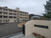 IMG_20250401_090252