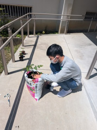 PXL_20260513_044016609