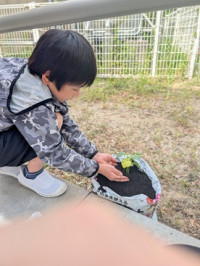 PXL_20260512_234109026