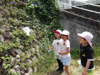 IMGP0177