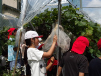 IMGP0442