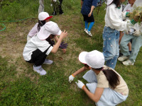 IMGP0912
